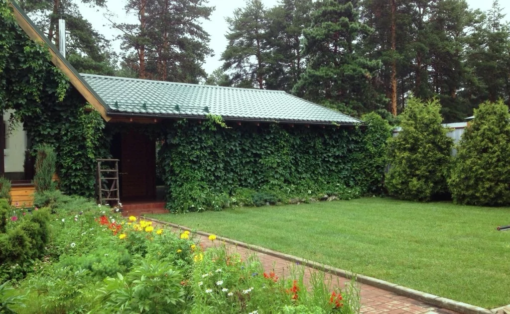 Устройство газона и рокария на придомойвой территории частного дома (Пермь, 2014) 
